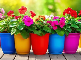 découvrez des astuces pratiques pour raviver la couleur de vos pots de fleurs en plastique. apprenez des techniques simples et efficaces pour redonner de l'éclat à vos accessoires de jardinage et embellir votre décoration extérieure.