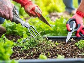 découvrez des techniques efficaces pour réduire vos déchets verts sans utiliser de broyeur. apprenez des astuces simples et écologiques pour transformer vos végétaux en compost, paillis ou en mulch facilement, tout en valorisant votre jardin.